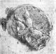 Fulques III van Anjou Nerra